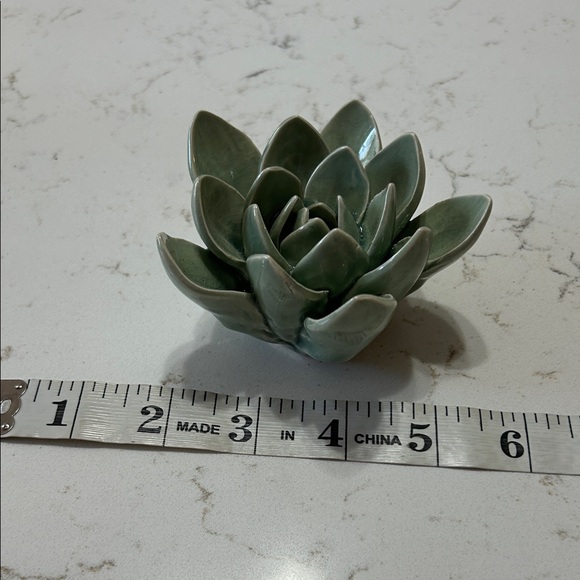 Elegant Green Ceramic Succulent Decor - Picture 5 of 5